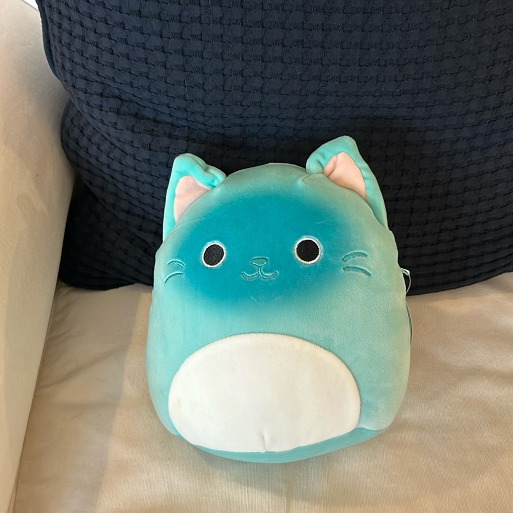Blue cat squishmallow